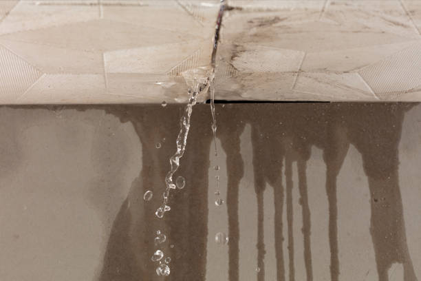 Professional Structural Drying technician working in New Athens, IL